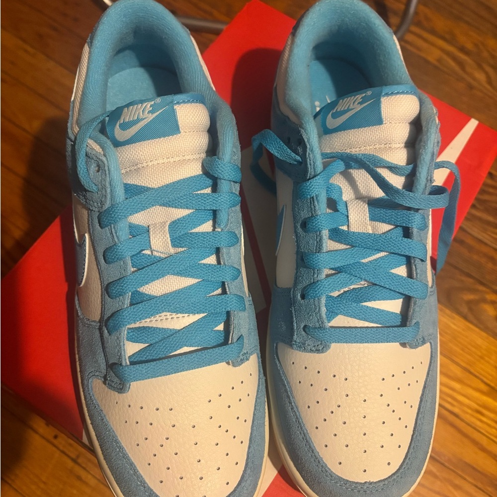 Nike Blue and White Classic Dunk Low Sneakers